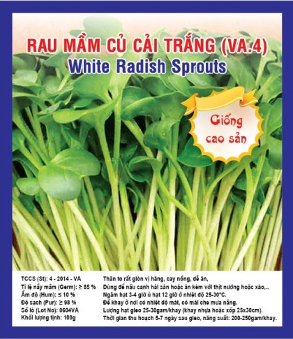 Rau mầm củ cải trắng - Việt á Seeds - Công Ty TNHH Phát Triển Nông Nghiệp Việt Á